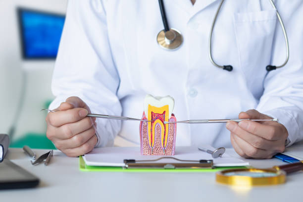 Best Emergency Dental Services for Seniors in Malvern, OH